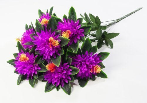 Хризантема "Ариадна" 7 цветков