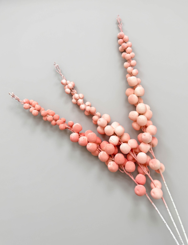 Ветка "Розовый бисквит"