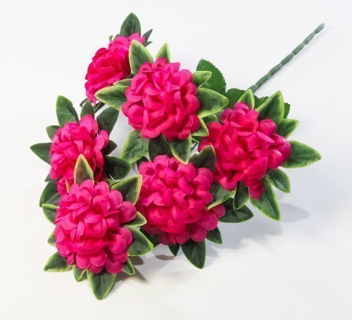 Шафран "Этюд" 6 цветков