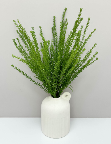 Вереск "Эрика" лето