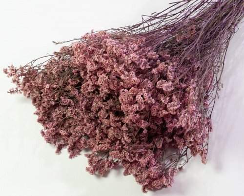 Лимониум стабилизированный