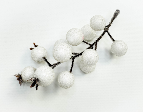 Насадка шиповника с белыми ягодами в инее