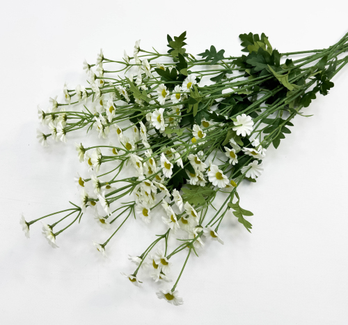 Ромашка "Аптечная" 