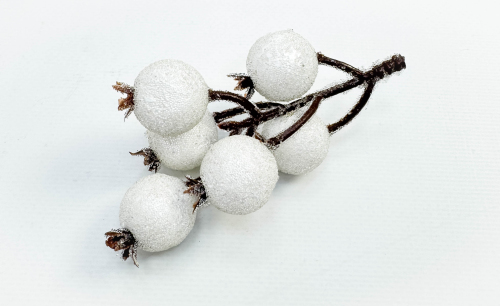 Насадка шиповника с белыми крупными ягодами в инее