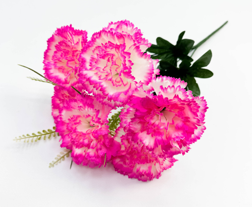 Гвоздика "Монпансье" 6 цветков