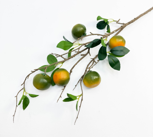 Ветка зеленых мандарин 5 плодов