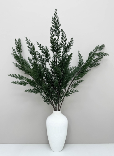 Можжевельник высока ветка