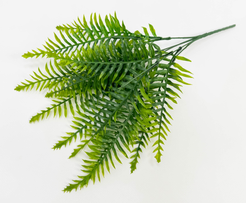 Нефролепис мечевидный 5 веток