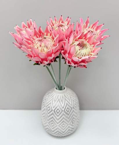 Протея "Мадиба малая" светло-розовая