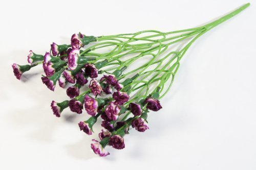 Букет гвоздик "Лель" византия