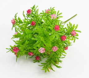 Букет "Катюша" 5 веток красный