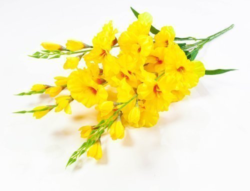 Букет гладиолуса 5 веток 40 цветков