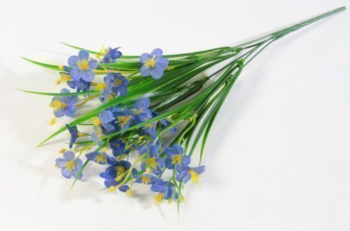 Букет незабудок 35 цветков