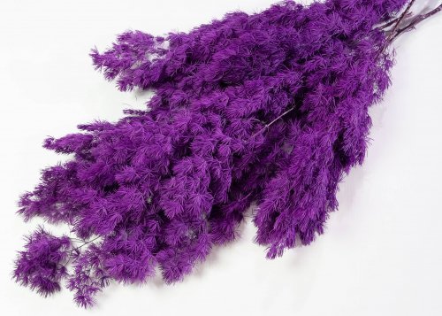 Аспарагус стабилизированный