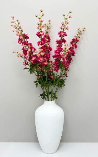 Дельфиниум малиновый