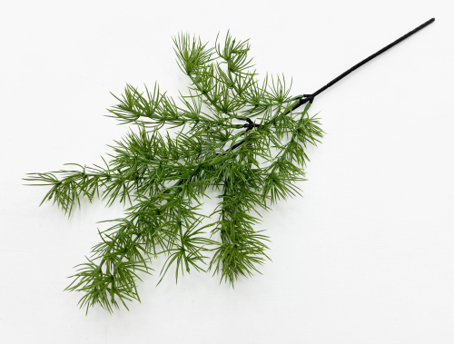 Бонсай лиственница ветка светлая