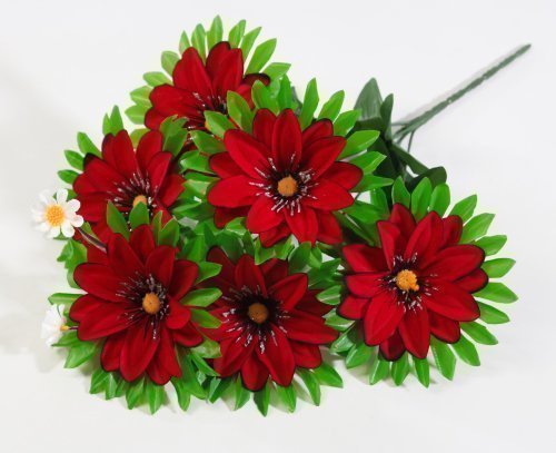 Бархатный георгин "Пико" 6 цветков