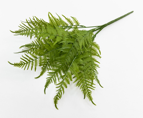 Даваллия Мариса 