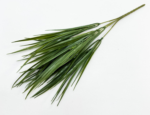 Осока "Дачная" 