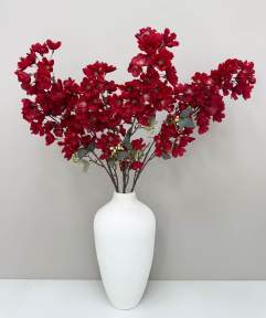 Сакура мелкопильчатая бордовая