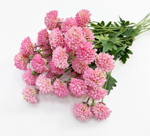 Георгин помпонный розовый