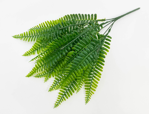 Нефролепис "Габриелла"