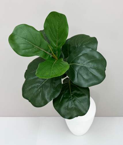 Лирата темно-зеленая 9 листов