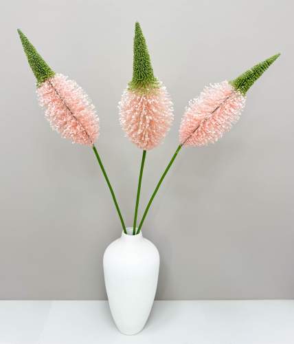 Эремурус "Розовый пушистик"