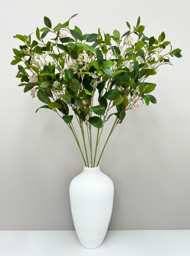 Цеанотус розовый 