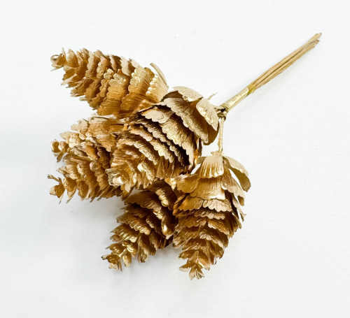 Шишка золото