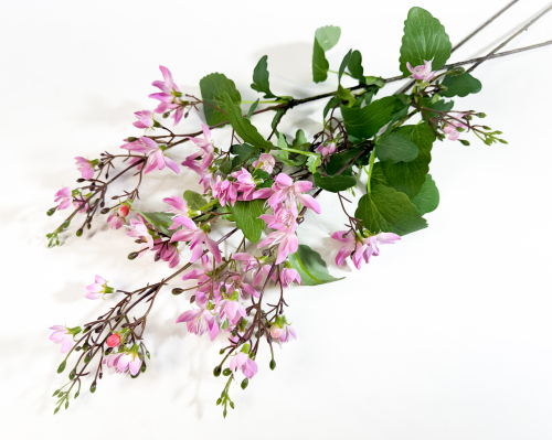 Дейция гибридная розовая