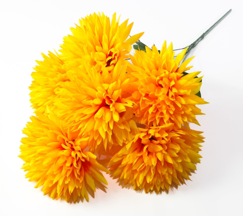 Хризантема Талисман гигант 6 цветков