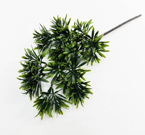 Бонсай Подокарпус