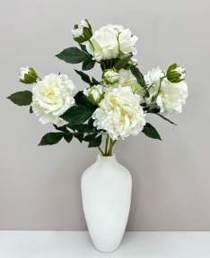 Пион "Герцогиня" белый