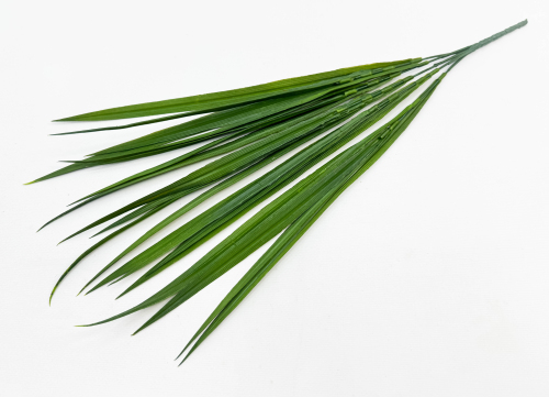 Осока Лонг 5 веток зелёная 
