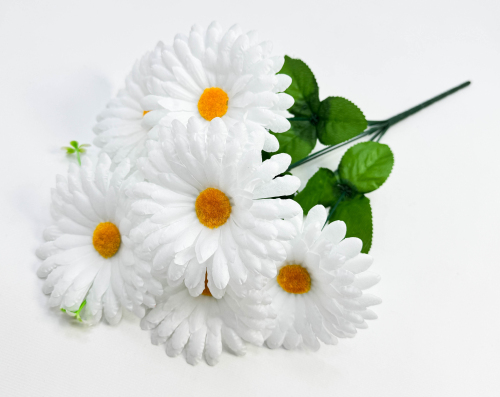 Ромашка "Амурская" 6 цветков