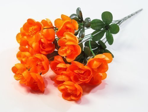 Букет купавницы "Жарок" 7 веток