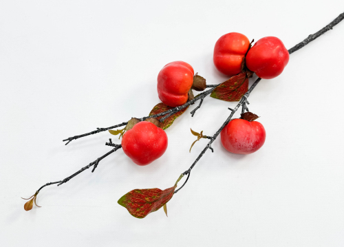 Хурма 5 плодов