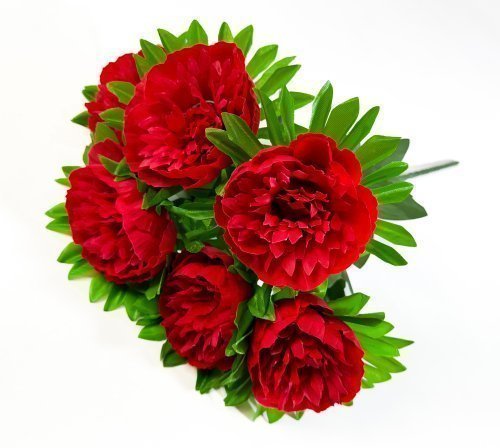 Букет пиона "Крепыш" 6 цветков