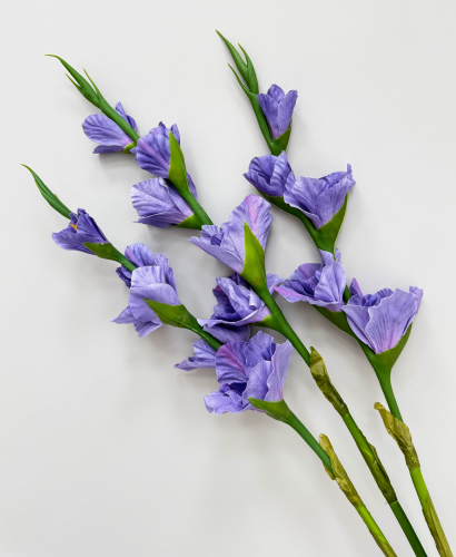 Гладиолус "Цветочный калейдоскоп" сиреневый