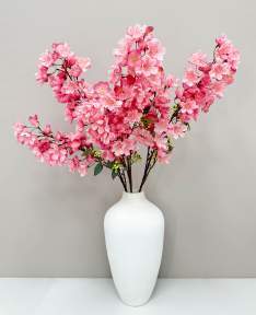 Сакура мелкопильчатая розовая