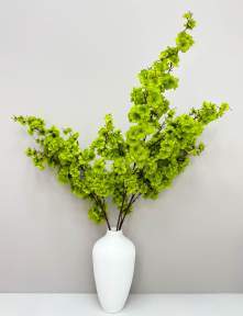 Сакура "Ветка Ханами" зеленая