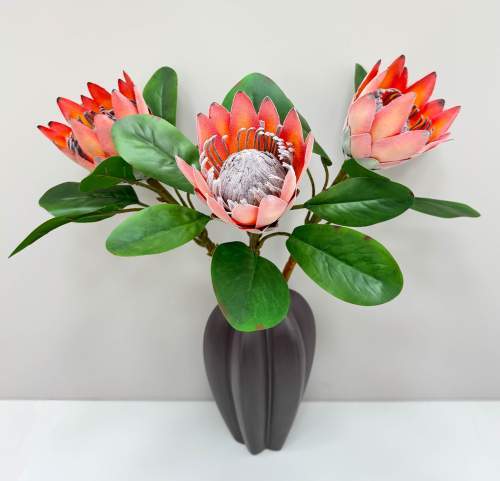 Протея артишоковая "Мадиба" оранжевая