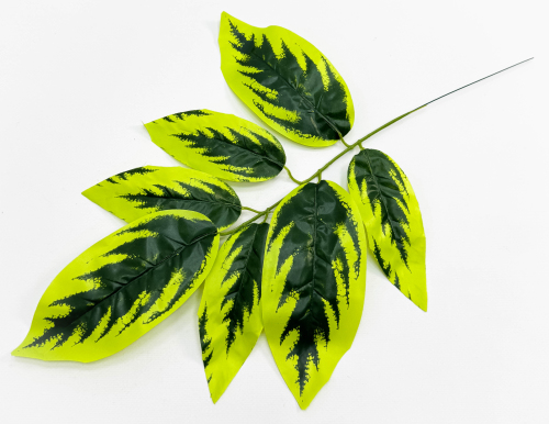 Лист манго малый