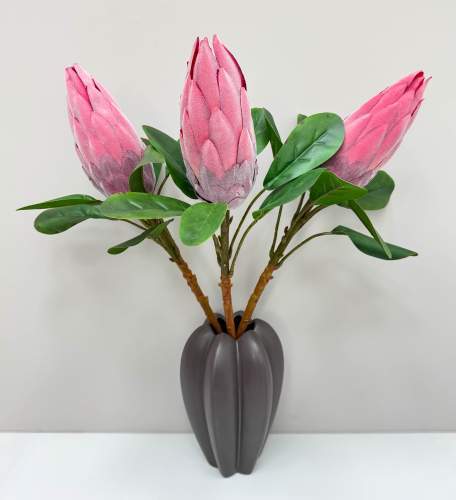 Протея "Королевская малиновая"