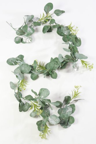 Лиана эвкалипта с блеском