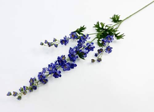 Дельфиниум фиолетовый