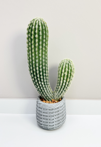 Кактус 45 см