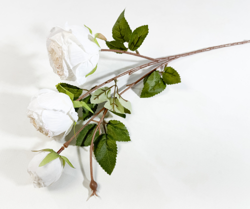 Ветка пионовидной розы "Рояль" молочная купить по выгодной цене в ...