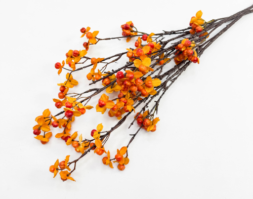 Морошка оранжево-красная